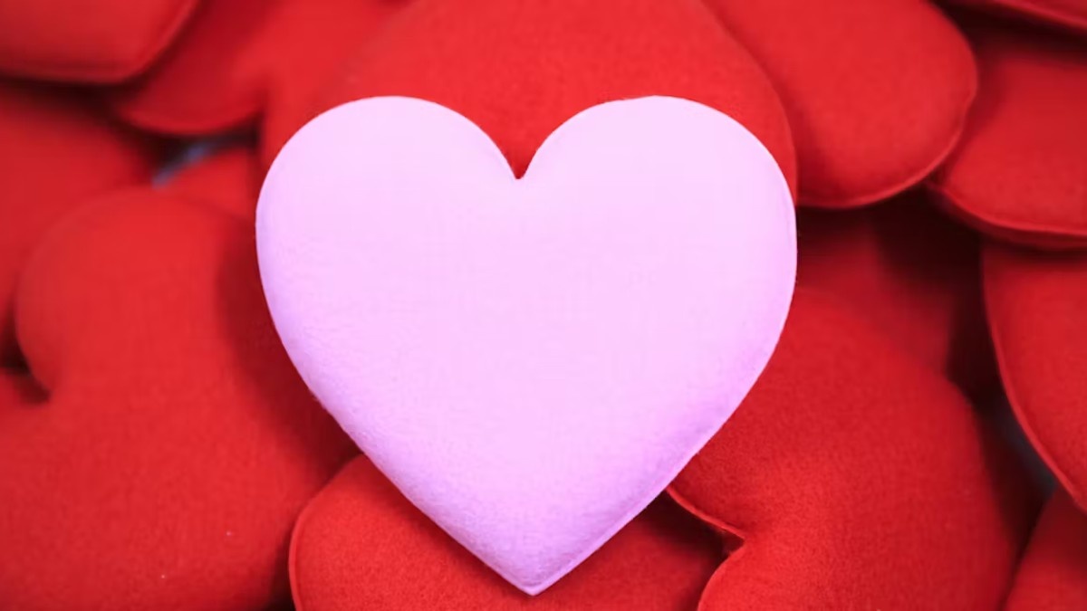 Taurus Love Life Taurus Love Life